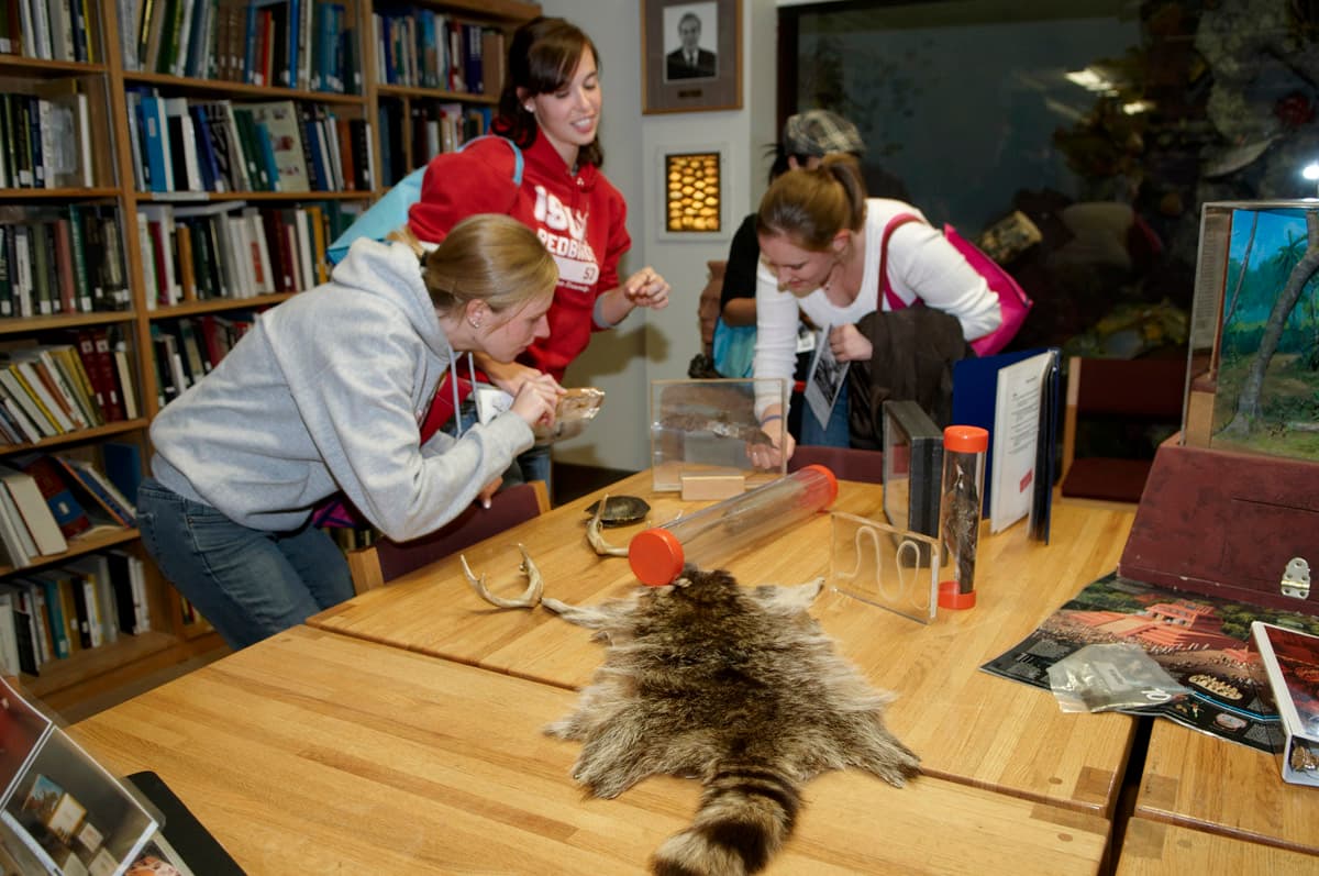 Three educators stand around a table with specimens, including a raccoon skin, bat, bird, and pair of antlers.