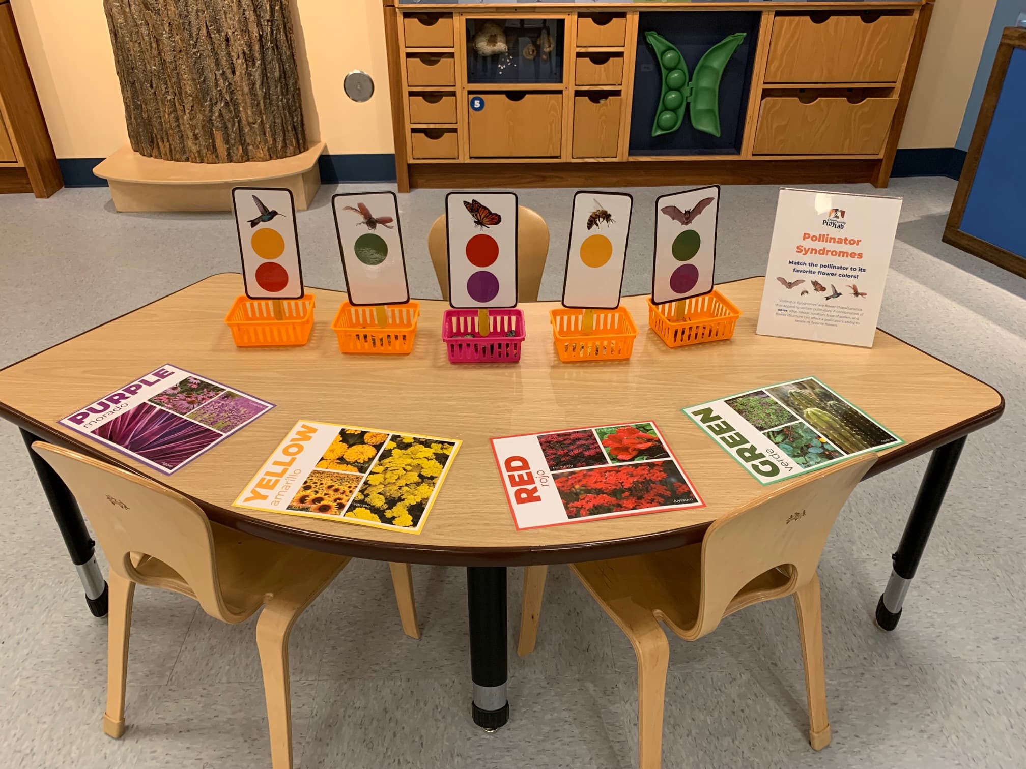 A curved shaped table with colored graphic cards.