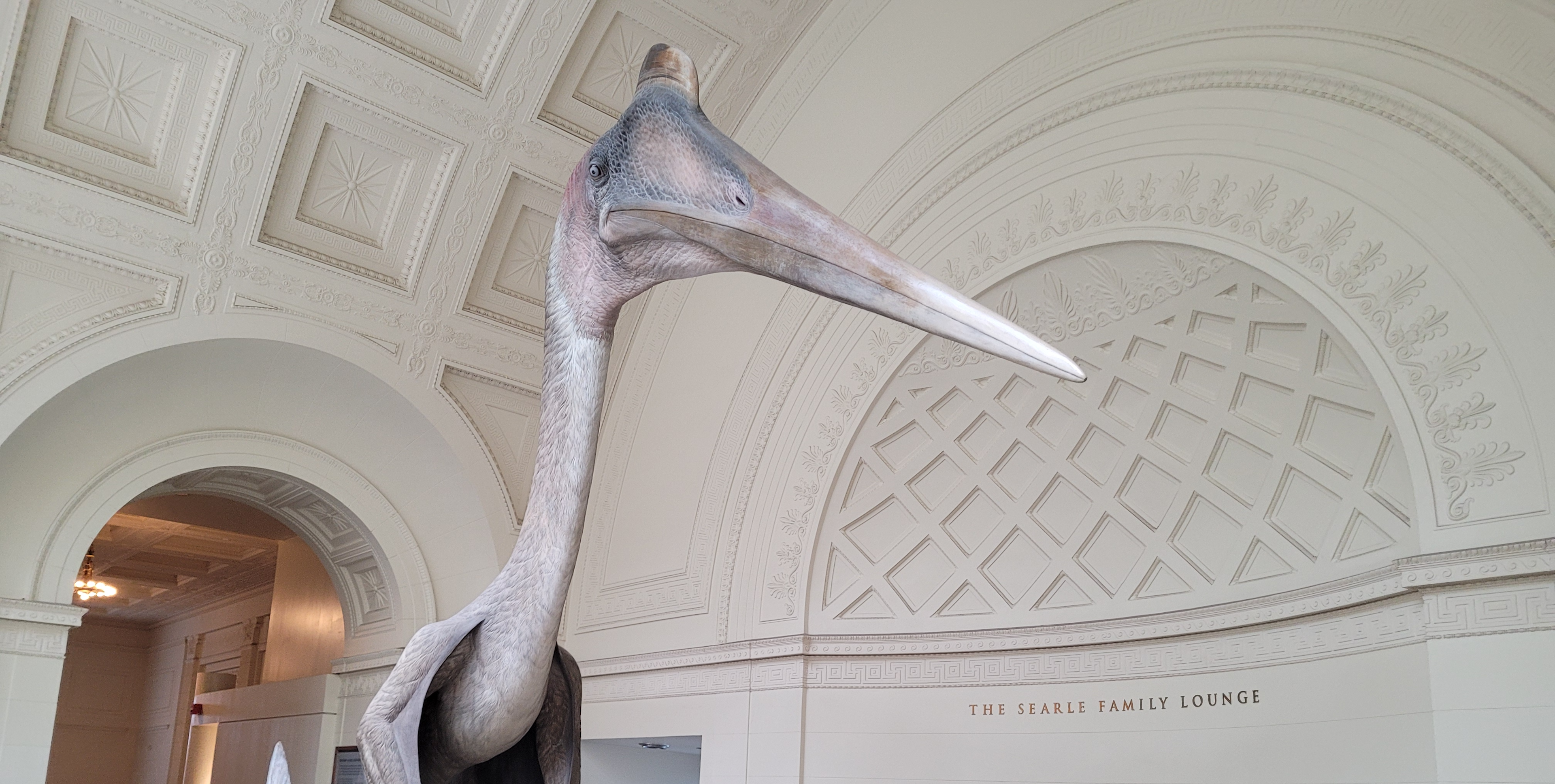 A life-size model of a quetzalcoatlus sits in a space with domed white ceilings.