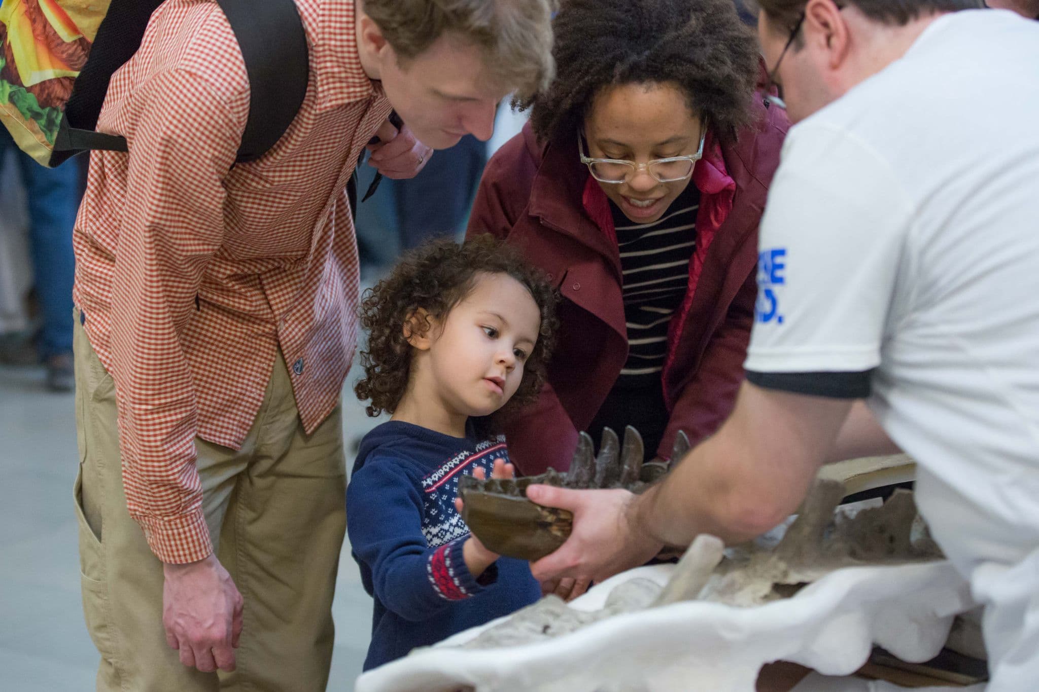 A museum staff member holds a fossil jawbone out for a child who reached to touch it. Two adults stand with the child, bending to look at the fossil.